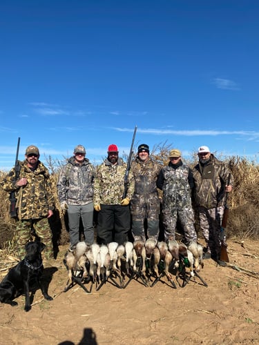 Premier TX Duck Hunt In Abilene