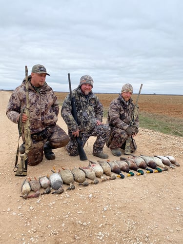 Premier Sandhill Crane Hunting In Abilene
