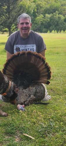 Turkey Hunt & Lodging (4 Nights & 3 Days) In Batesville