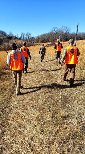 Upland Hunting In Batesville