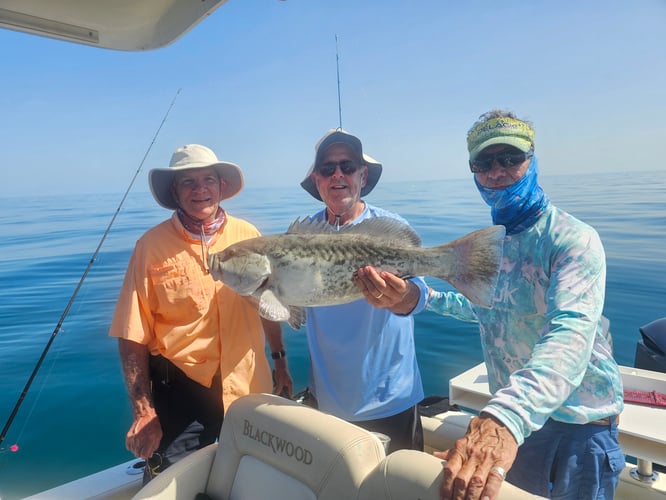 GAG GROUPER OFF SHORE 2024- 20 TO 50 MILES OFF SHORE In Crystal River