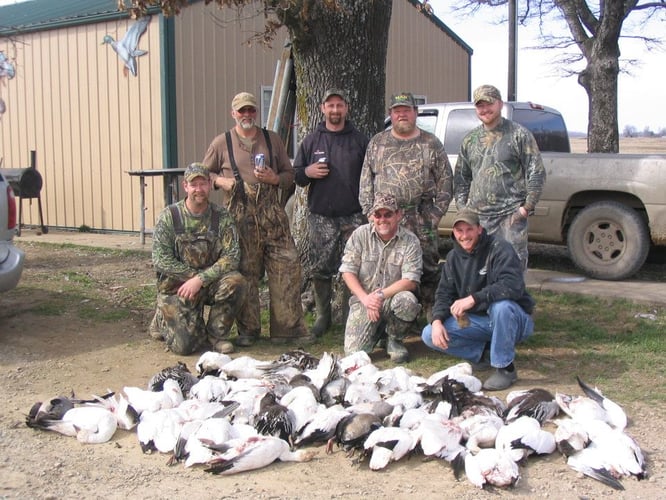 Goose Hunts W/ Lodging Available In Fisher