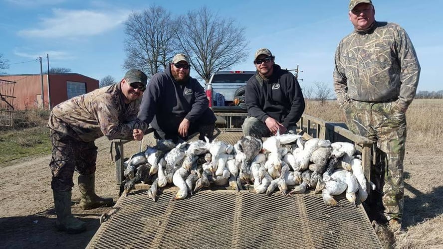 Goose Hunts W/ Lodging Available In Fisher