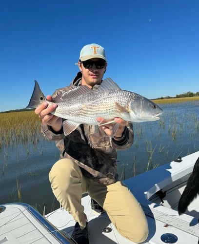 Inshore Aboard Sportsman Bay Boat In Charleston