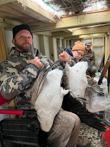 Guided Canada Goose Hunts In Minnesota In Byron