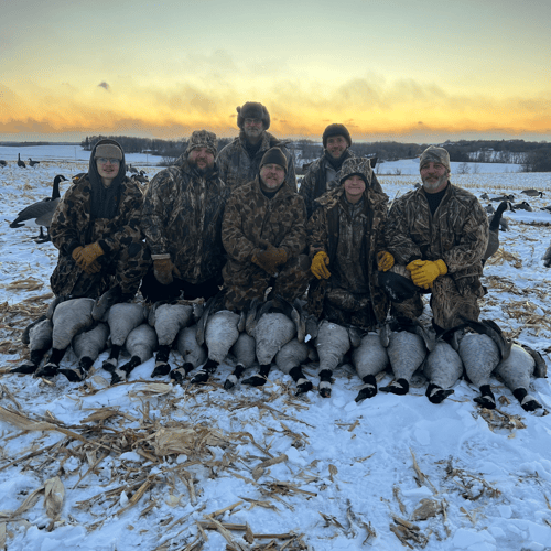 Guided Canada Goose Hunts In Minnesota In Byron