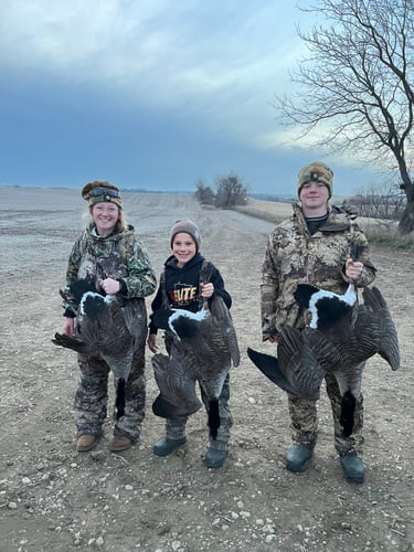 Guided Canada Goose Hunts In Minnesota In Byron