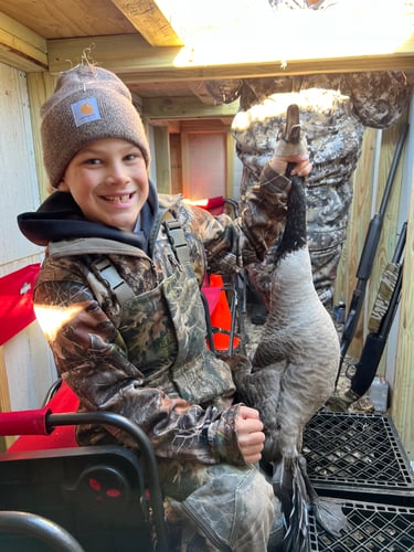 Guided Canada Goose Hunts In Minnesota In Byron