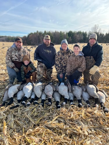 Guided Canada Goose Hunts In Minnesota In Byron