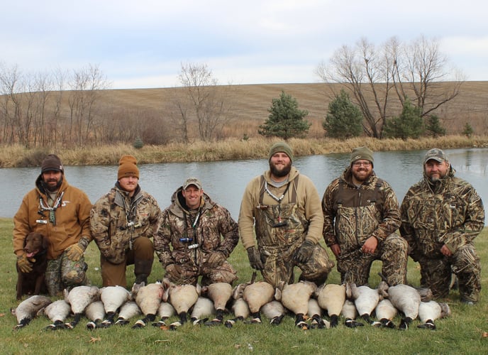 Guided Canada Goose Hunts In Minnesota In Byron