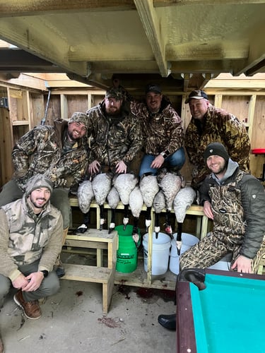 Guided Canada Goose Hunts In Minnesota In Byron