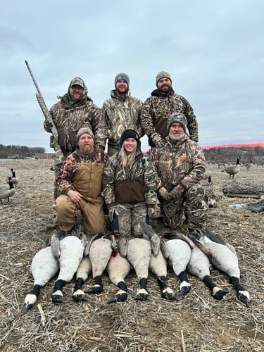 Guided Canada Goose Hunts In Minnesota In Byron