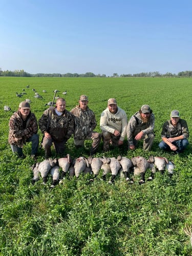 Wisconsin Early Season Guided Goose Hunts In Baldwin