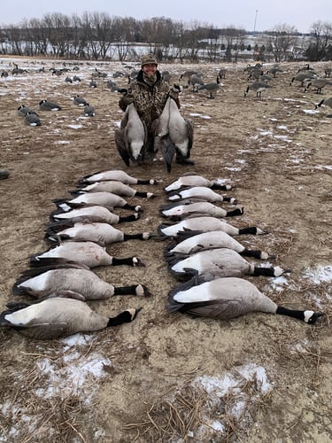 Wisconsin Early Season Guided Goose Hunts In Baldwin