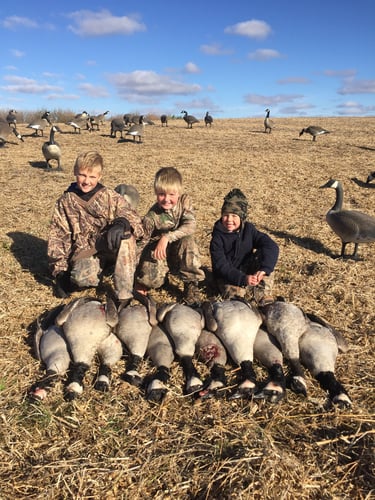 Wisconsin Early Season Guided Goose Hunts In Baldwin