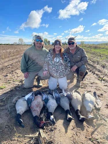 Wisconsin Early Season Guided Goose Hunts In Baldwin