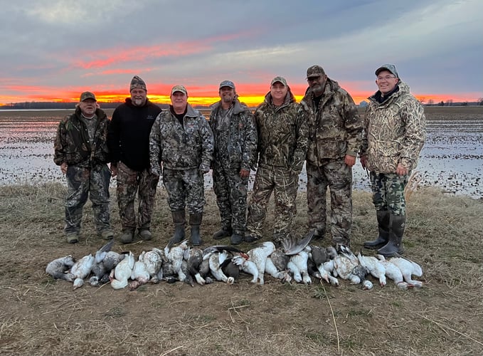 Arkansas Spring Snow Goose Hunts In Pocahontas