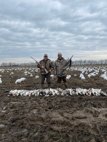 Arkansas Spring Snow Goose Hunts In Pocahontas