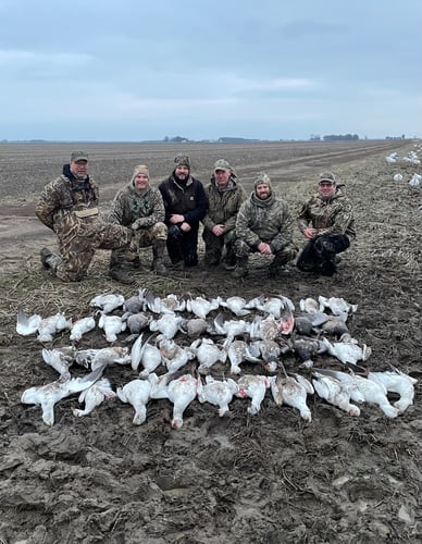 Arkansas Spring Snow Goose Hunts In Pocahontas