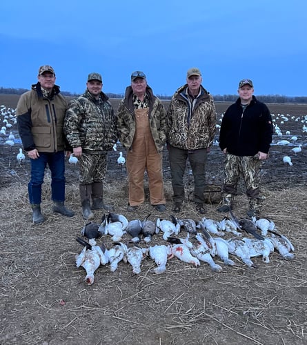 Arkansas Spring Snow Goose Hunts In Pocahontas