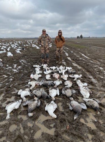 Arkansas Spring Snow Goose Hunts In Pocahontas