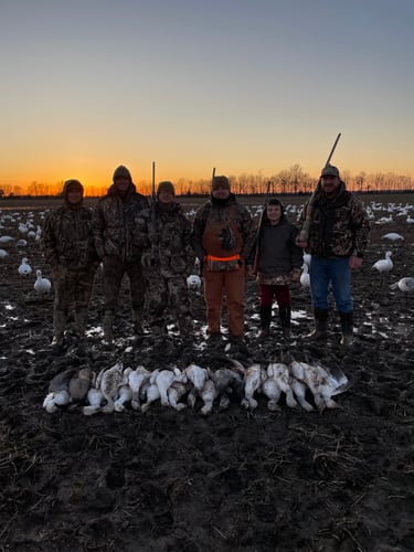 Arkansas Spring Snow Goose Hunts In Pocahontas