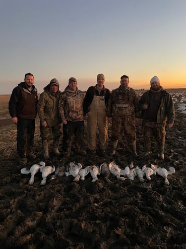 Arkansas Spring Snow Goose Hunts In Pocahontas