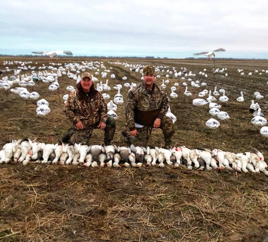 Arkansas Spring Snow Goose Hunts In Pocahontas