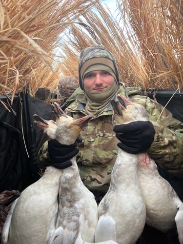 Arkansas Spring Snow Goose Hunts In Pocahontas