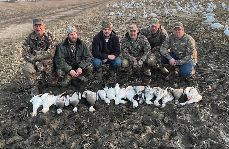 Arkansas Spring Snow Goose Hunts In Pocahontas