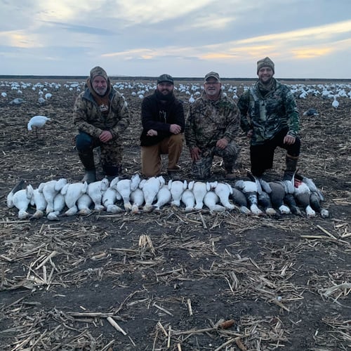 Missouri Spring Snow Goose Hunts In Mound City