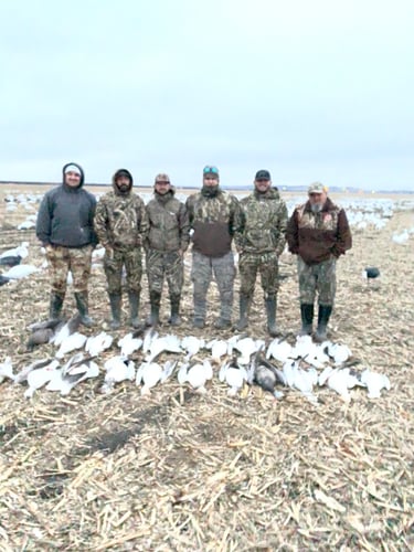 Missouri Spring Snow Goose Hunts In Mound City