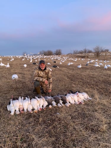 Missouri Spring Snow Goose Hunts In Mound City