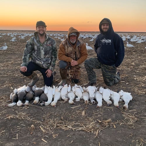 Missouri Spring Snow Goose Hunts In Mound City