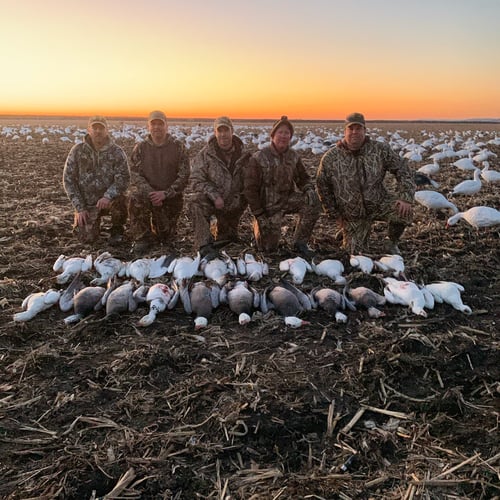 Missouri Spring Snow Goose Hunts In Mound City