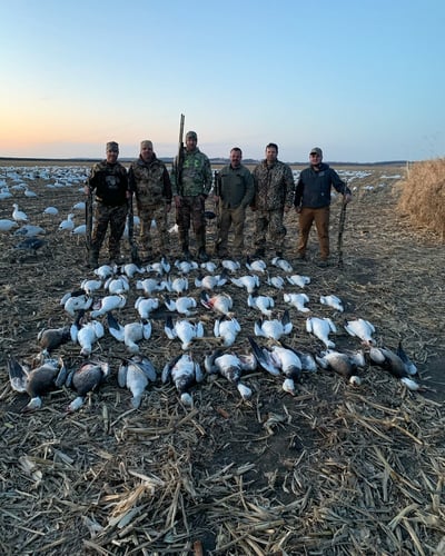 Missouri Spring Snow Goose Hunts In Mound City