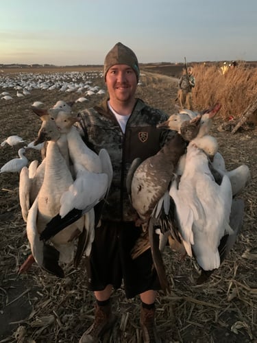 Missouri Spring Snow Goose Hunts In Mound City