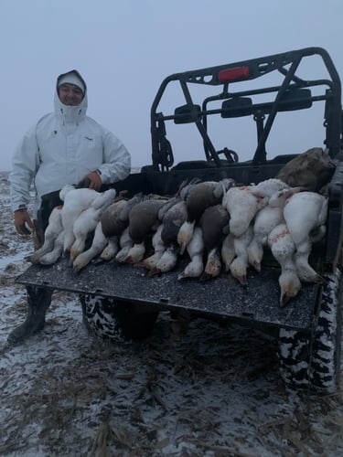 Missouri Spring Snow Goose Hunts In Mound City