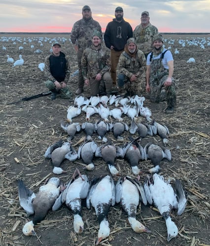 Missouri Spring Snow Goose Hunts In Mound City