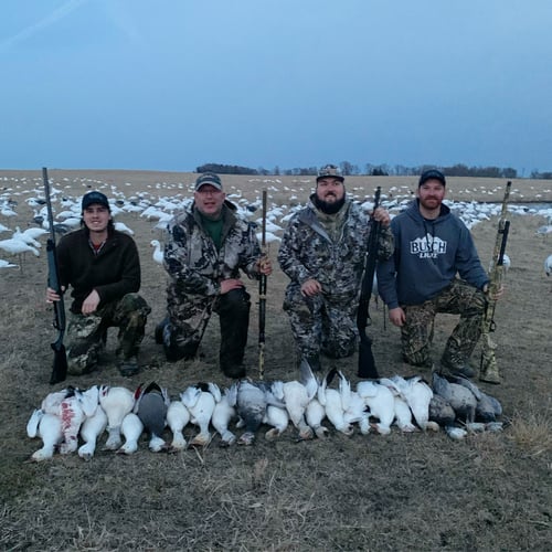 Missouri Spring Snow Goose Hunts In Mound City