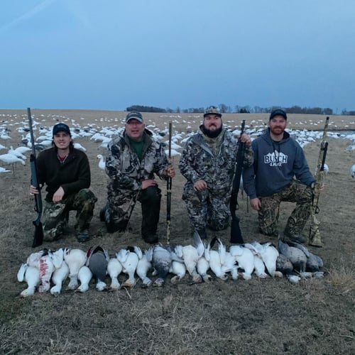 South Dakota Spring Snow Goose Hunts In Watertown