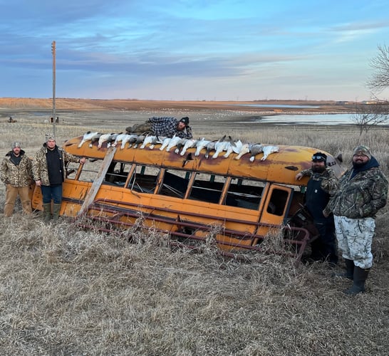 South Dakota Spring Snow Goose Hunts In Watertown