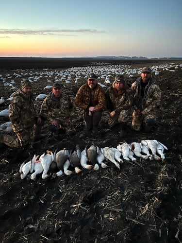 South Dakota Spring Snow Goose Hunts In Watertown