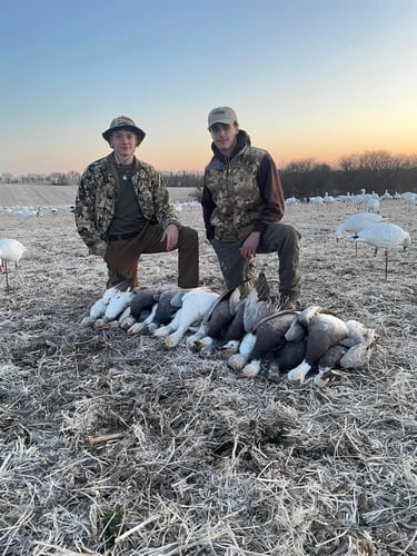 South Dakota Spring Snow Goose Hunts In Watertown