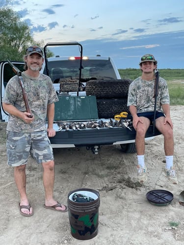 South Texas Dove Hunts In Big Wells