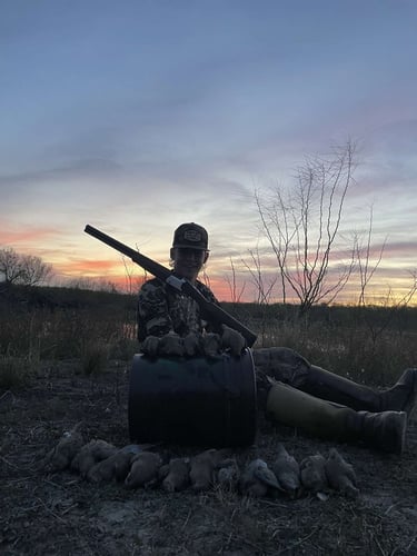 South Texas Dove Hunts In Big Wells