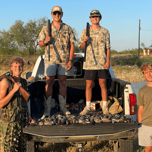 South Texas Dove Hunts In Big Wells