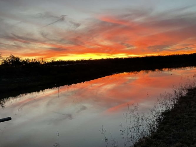 South Texas Dove Hunts In Big Wells