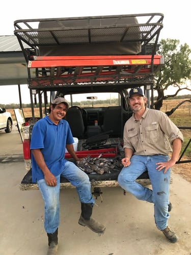 South Texas Dove Hunts In Big Wells