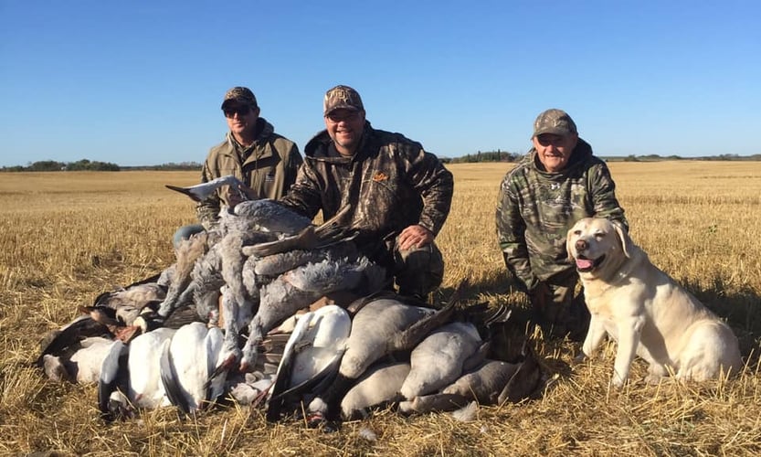 Saskatchewan All Inclusive Waterfowling In Saltcoats